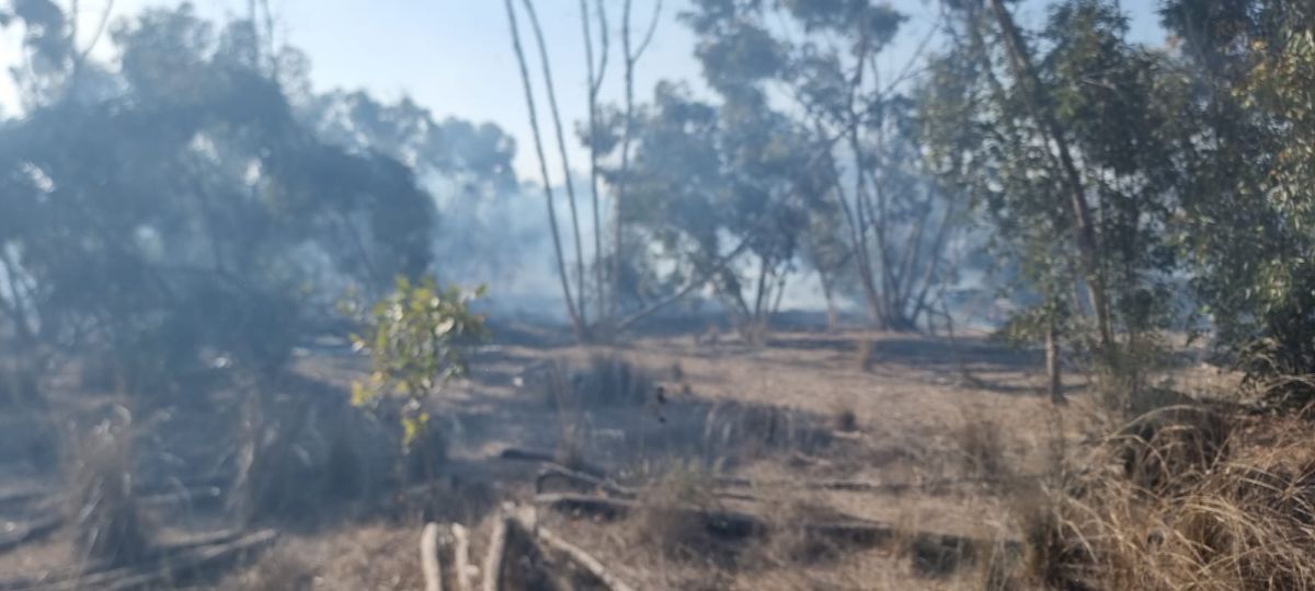 אחרי שעות: הושגה שליטה על השריפה בעוטף עזה