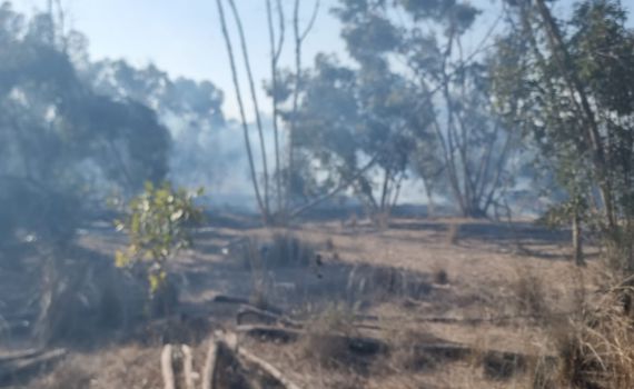 חשד להצתה מבלון תבערה: שריפה פרצה ביער בארי