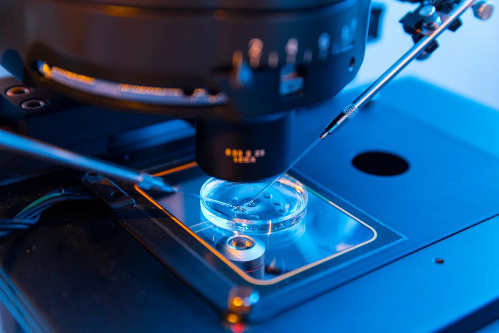 מאותגרת פוריות? את לא לבד: מעגל התמיכה מתרחב