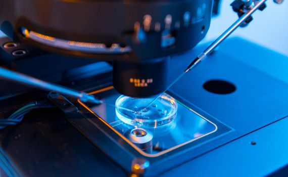 מאותגרת פוריות? את לא לבד: מעגל התמיכה מתרחב