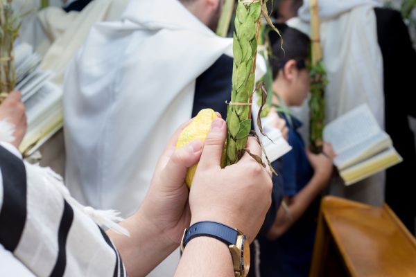 מכון פועה מציג: מיזם 4 המינים שכבש את ישראל