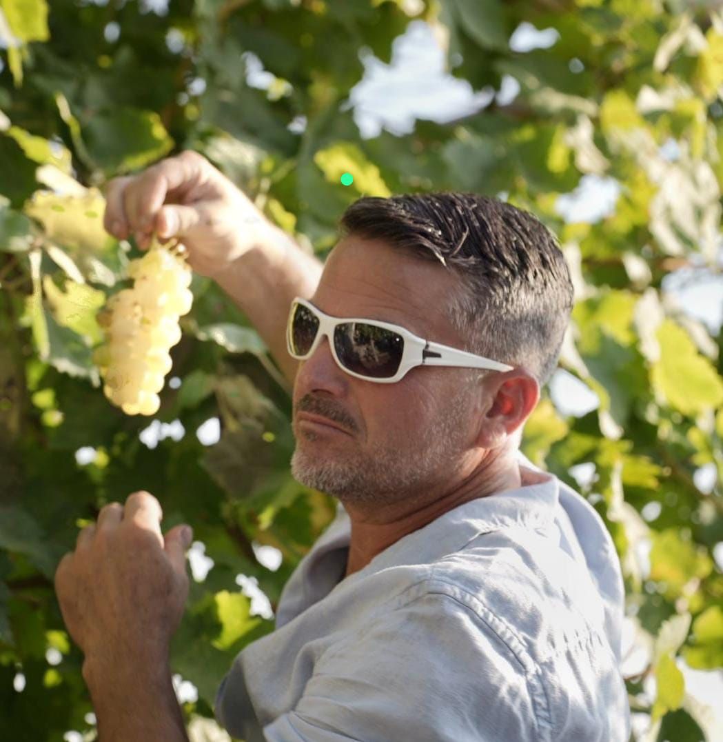 צה"ל מפרסם שני שמות נוספים של חללי המלחמה בדרום