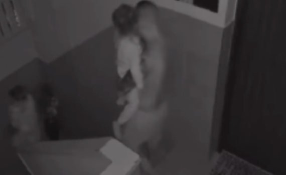 נס | צפו: המשפחה יצאה לממ"ד; הטיל פירק את הבית