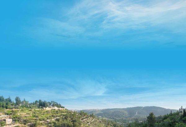 את סוכות השנה חוגגים בשומרון במגוון פעילויות