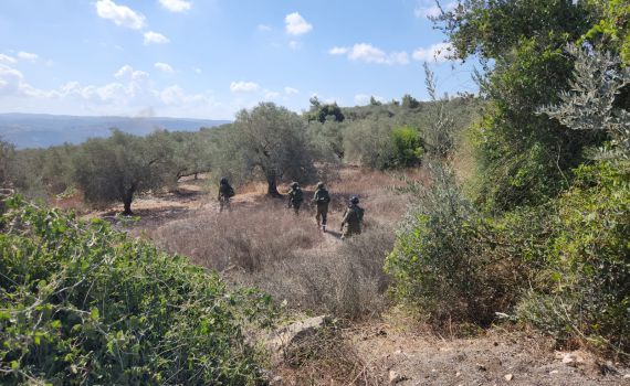 כיתות הכוננות מתריעות: מסיק הזיתים מנוצל לטרור