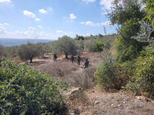 כיתות הכוננות מתריעות: מסיק הזיתים מנוצל לטרור