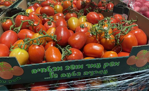 דרום אדום: צה"ל חזר לקנות עגבניות מעוטף עזה