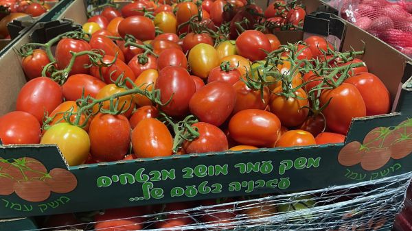 דרום אדום: צה"ל חזר לקנות עגבניות מעוטף עזה