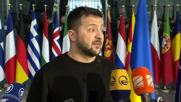 אמריקה נבוכה: הכוכבים מגיבים למתקפה של טראמפ על זלנסקי