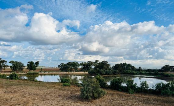 ומה עם הגשם? תחזית מזג אוויר לימים הקרובים