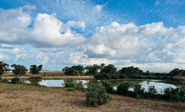 אחרי גל החום; זה מה שיקרה: תחזית מזג אוויר