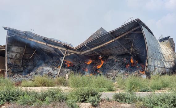 תנובה מקימה קרן של כ-15 מיליון שקל  לתמיכה ברפתות בעוטף