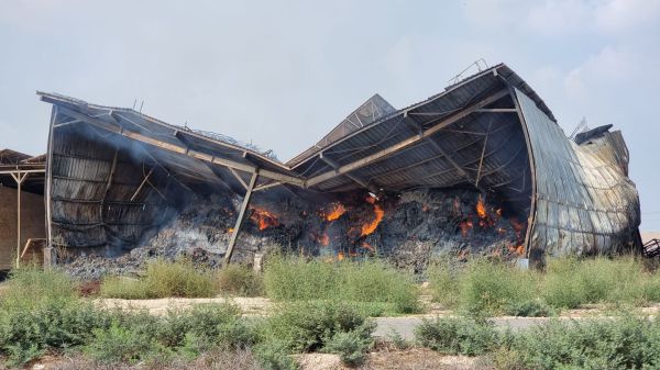 תנובה מקימה קרן של כ-15 מיליון שקל  לתמיכה ברפתות בעוטף