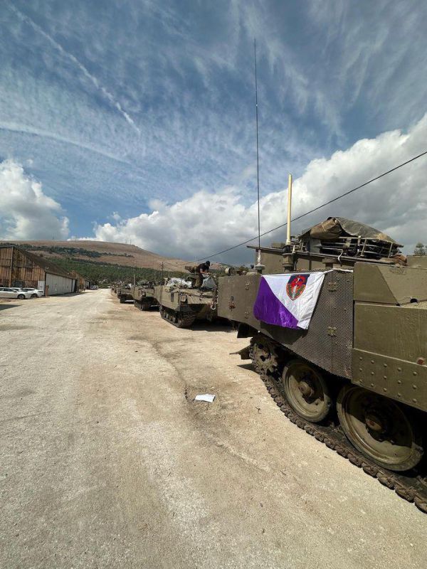 כניסה קרקעית לעזה, עוד לא ברורות המטרות