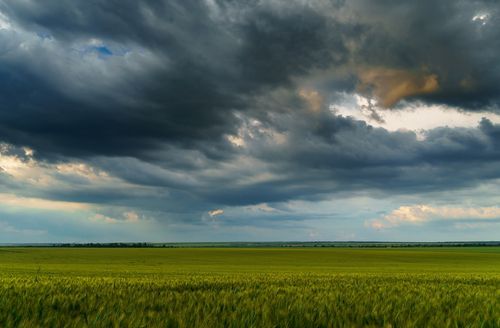 ירידה בטמפ'; גשם, הצפות ושטפונות: תחזית מזג אוויר