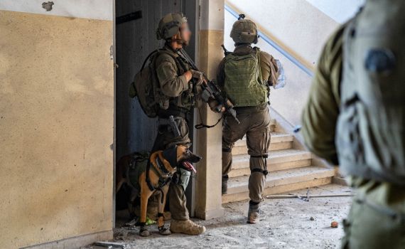 הכלב שהציל את הכוחות: "הוא סימן לי, לכו אחורה"