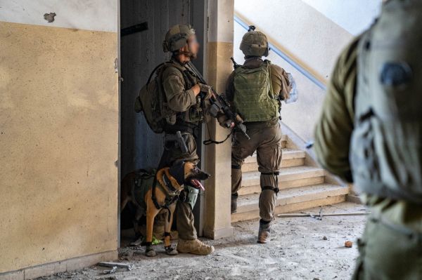 הכלב שהציל את הכוחות: "הוא סימן לי, לכו אחורה"