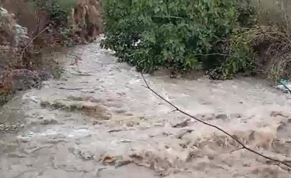 בעקבות הגשמים: זרימה בנחלי הדרום. צפו בתיעוד