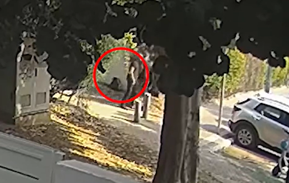 שני נערים נעצרו רגע לפני ביצוע פיגוע. צפו בתיעוד