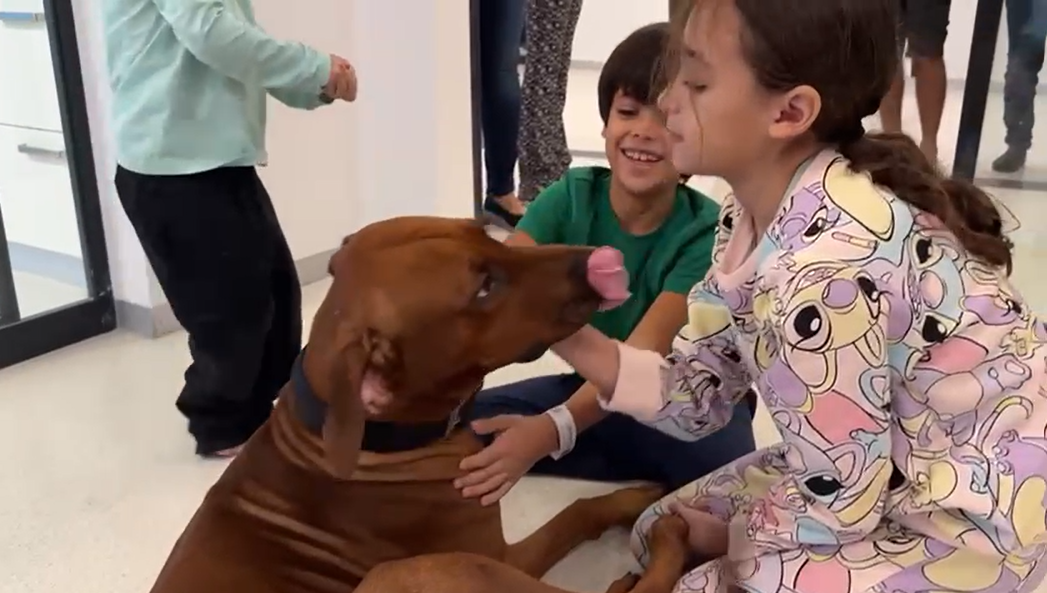 הילדים ששוחררו מעזה נפגשו עם כלבם האהוב