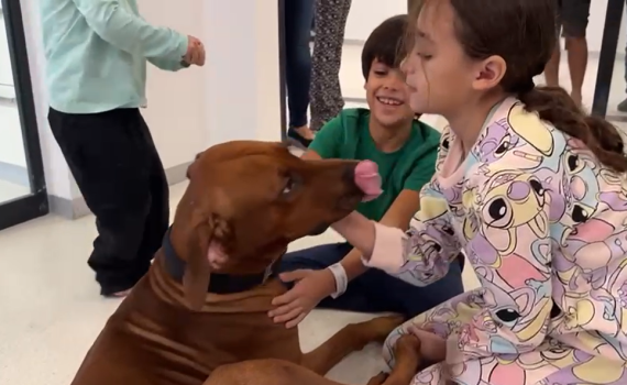הילדים ששוחררו מעזה נפגשו עם כלבם האהוב