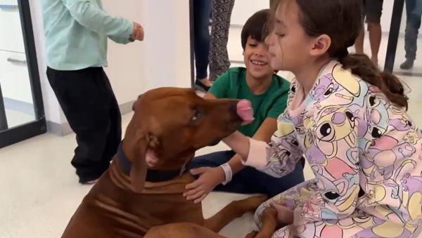 הילדים ששוחררו מעזה נפגשו עם כלבם האהוב