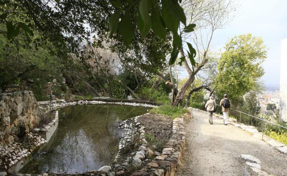מועצה אזורית גלבוע: עובד זר טבע בבריכת דגים