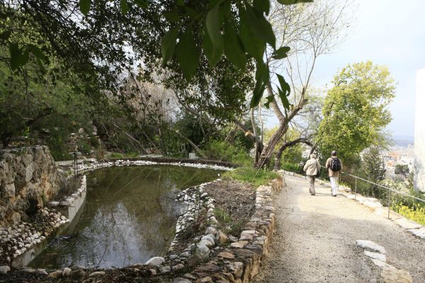 מועצה אזורית גלבוע: עובד זר טבע בבריכת דגים