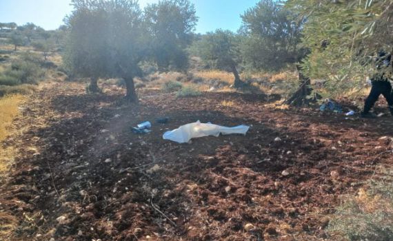 נשות המגויסים: "עצרו את המסיק, חשות מאוימות"