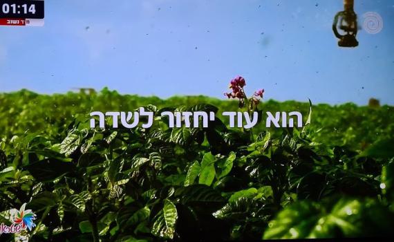 בגלל המלחמה: שטראוס חזרה לפרסם בערוץ 14