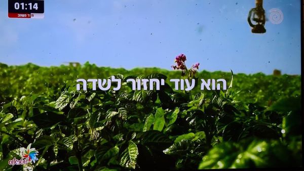 בגלל המלחמה: שטראוס חזרה לפרסם בערוץ 14