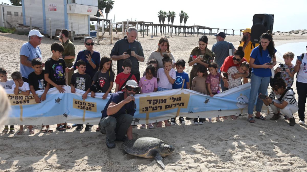 מרגש: ילדי העוטף השיבו צבים שנפגעו בחזרה לים