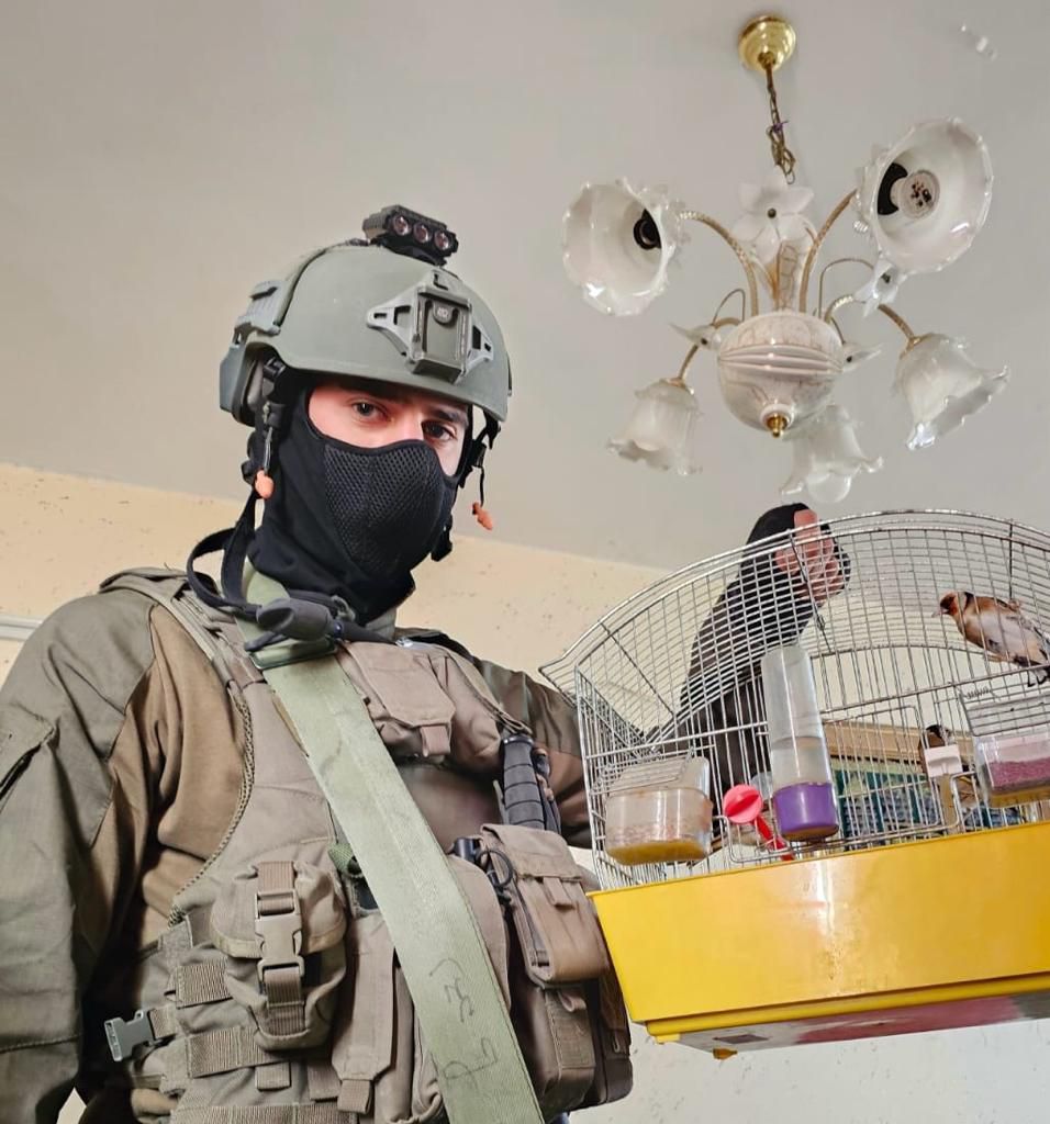 במהלך פעילות בשכם: צה"ל שחרר ציפורים מוגנות