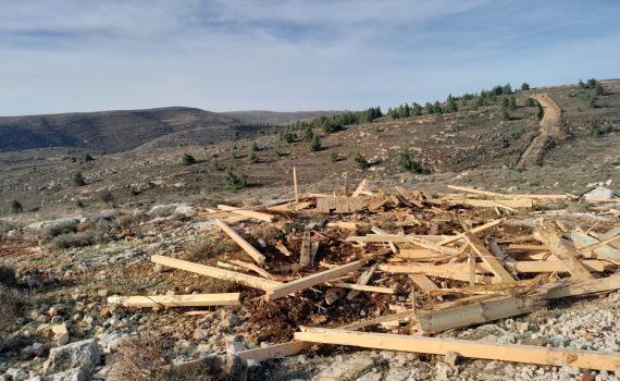 בזמן מלחמה: המשטרה הרסה בתים בעמונה