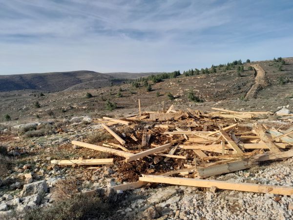 בזמן מלחמה: המשטרה הרסה בתים בעמונה