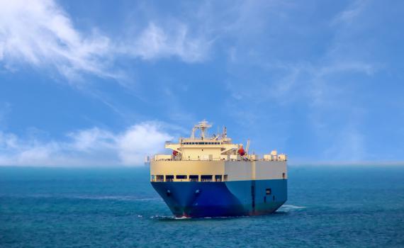 דו"צ: אירוע חמור ברמה עולמית. אין ישראלים על הספינה