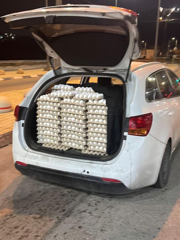 המשטרה תפסה הברחה של 7,000 ביצים