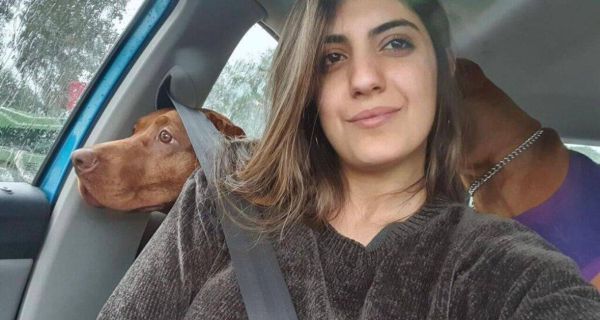 מספר החללים האזרחים במלחמה עלה ל-791