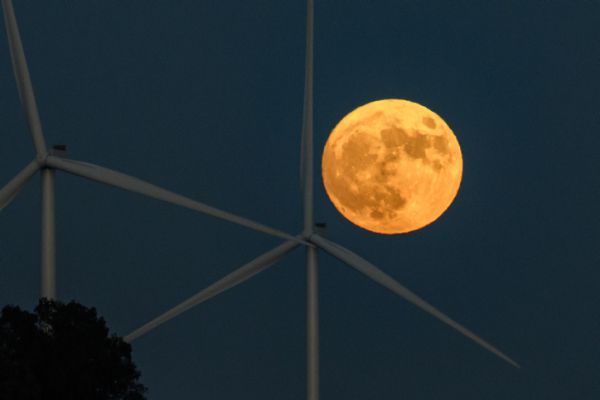 אל תפספסו: עד מתי אפשר לומר ברכת הלבנה?