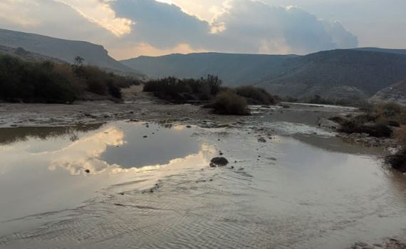 אחרי הגשם: זרימות בנחל חתירה. צפו