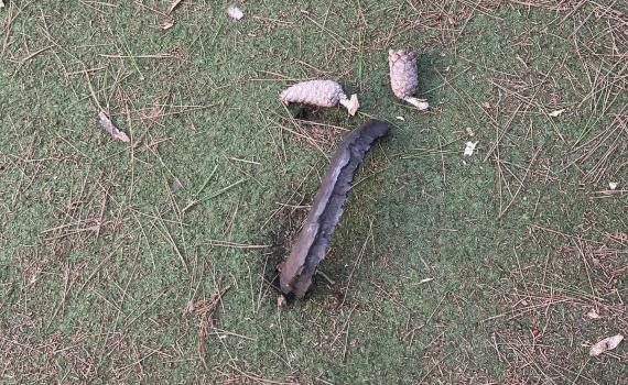 ירושלים: יצאו לשחק בחצר ומצאו שריד רקטה