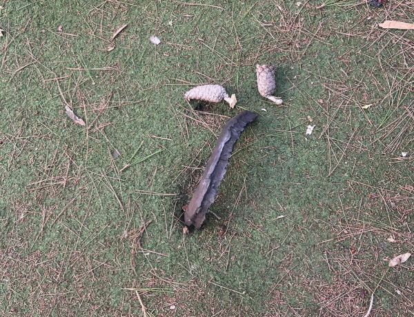 ירושלים: יצאו לשחק בחצר ומצאו שריד רקטה