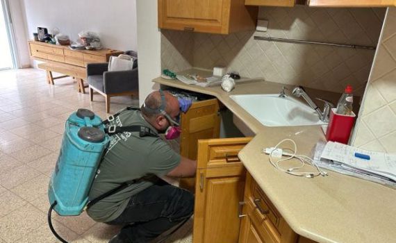 קסם הדברות מסבירים באילו מקרים כדאי לעשות הדברת מזיקים דווקא בחורף