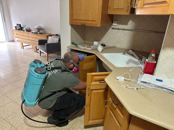 קסם הדברות מסבירים באילו מקרים כדאי לעשות הדברת מזיקים דווקא בחורף