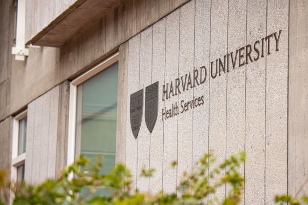 נשיאת הראוורד: "רצח עם ביהודים" לא מפר כללים