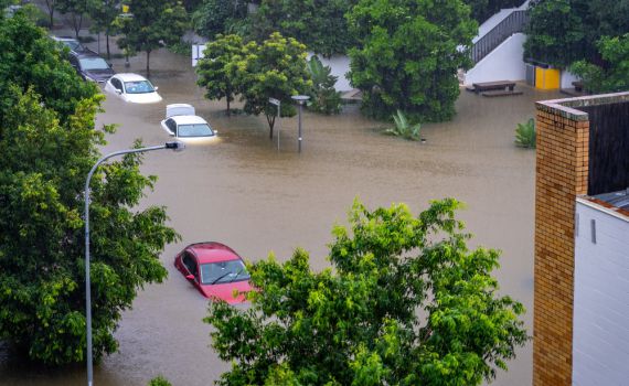 שיטפונות באוסטרליה: מאות חולצו, תנינים נצפו ברחובות