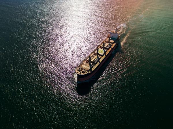 שודדי הים החות'ים חטפו עוד ספינה בים סוף