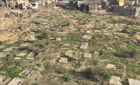 ערף חמור בבית קברות מוסלמי ונדון ל-16 חודשי מאסר