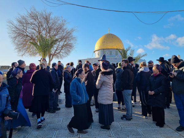 האם השכולה בהר הבית: מקריבים לה' את טובי בנינו