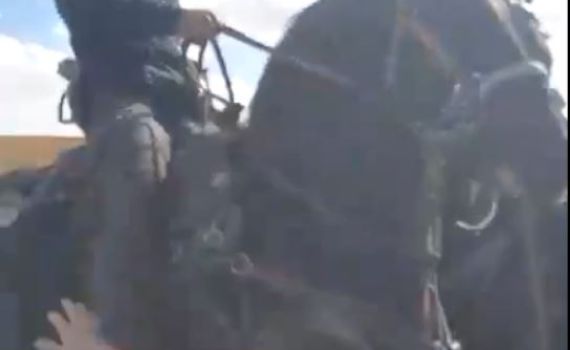 במשמרת של בן גביר: פרש דורס מפגין בכרם שלום. צפו